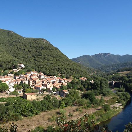 Chambre D'Hotes Le Rougeyras Bed and Breakfast Roquebrun Esterno foto